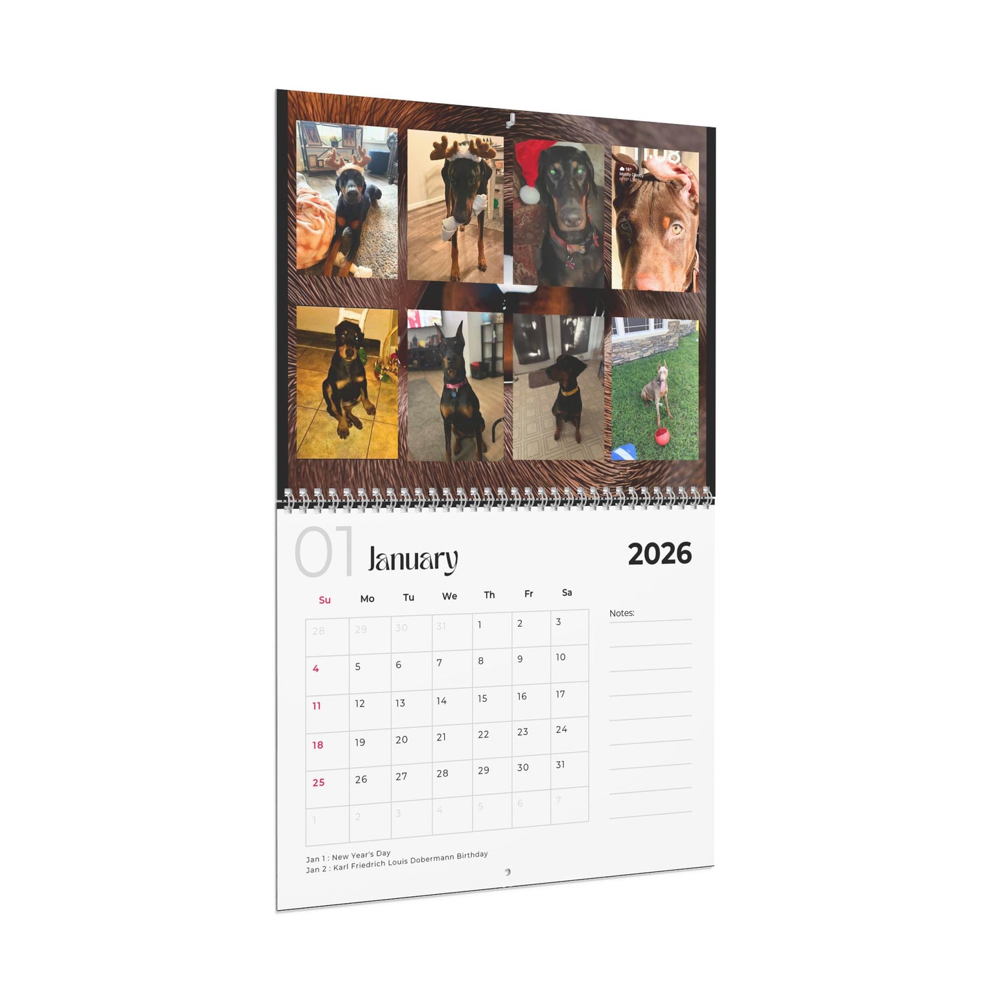 Edition 12 2026 Doberman Calendars