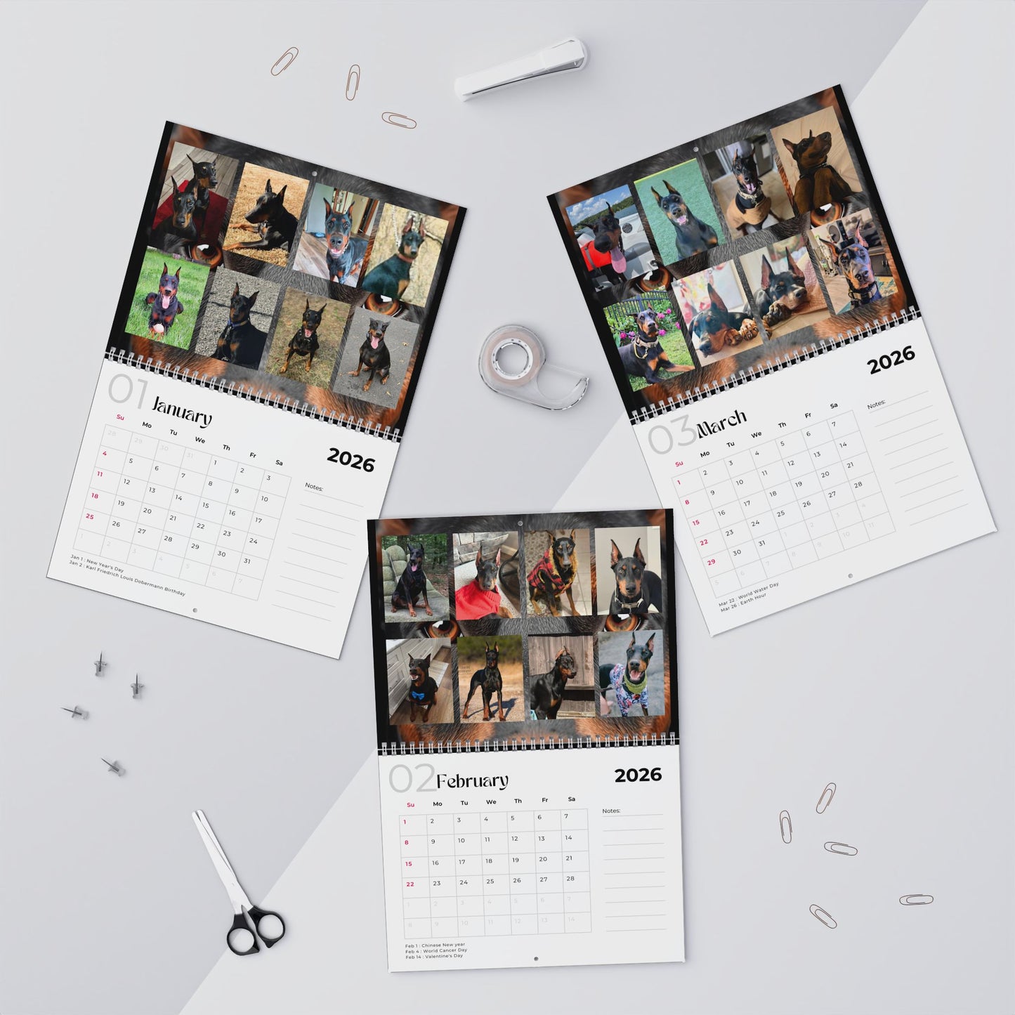 Edition 26 2026 Doberman Calendars