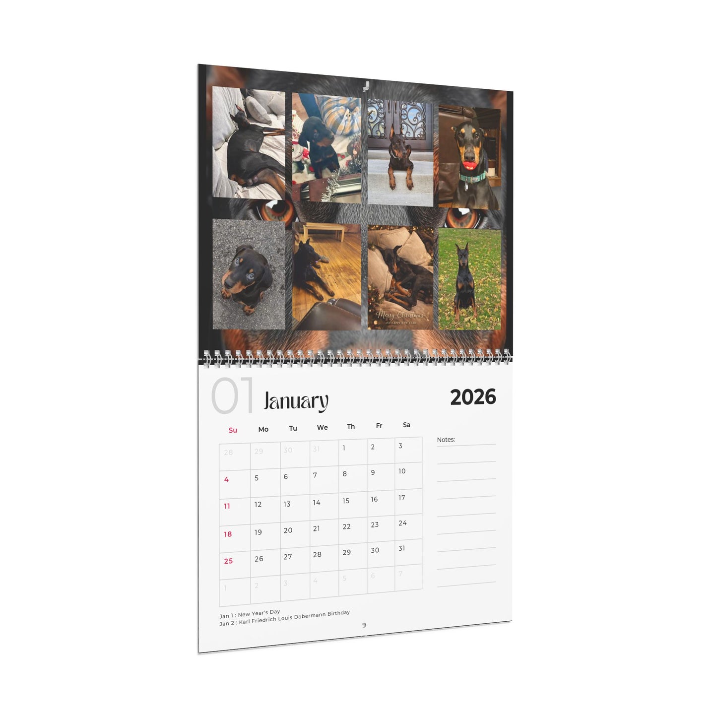 Edition 28 2026 Doberman Calendars