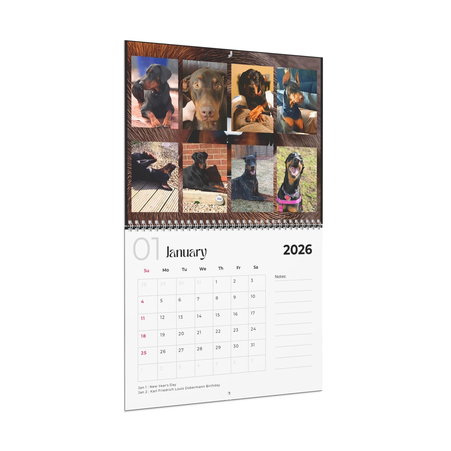 Edition 8 2026 Doberman Calendars