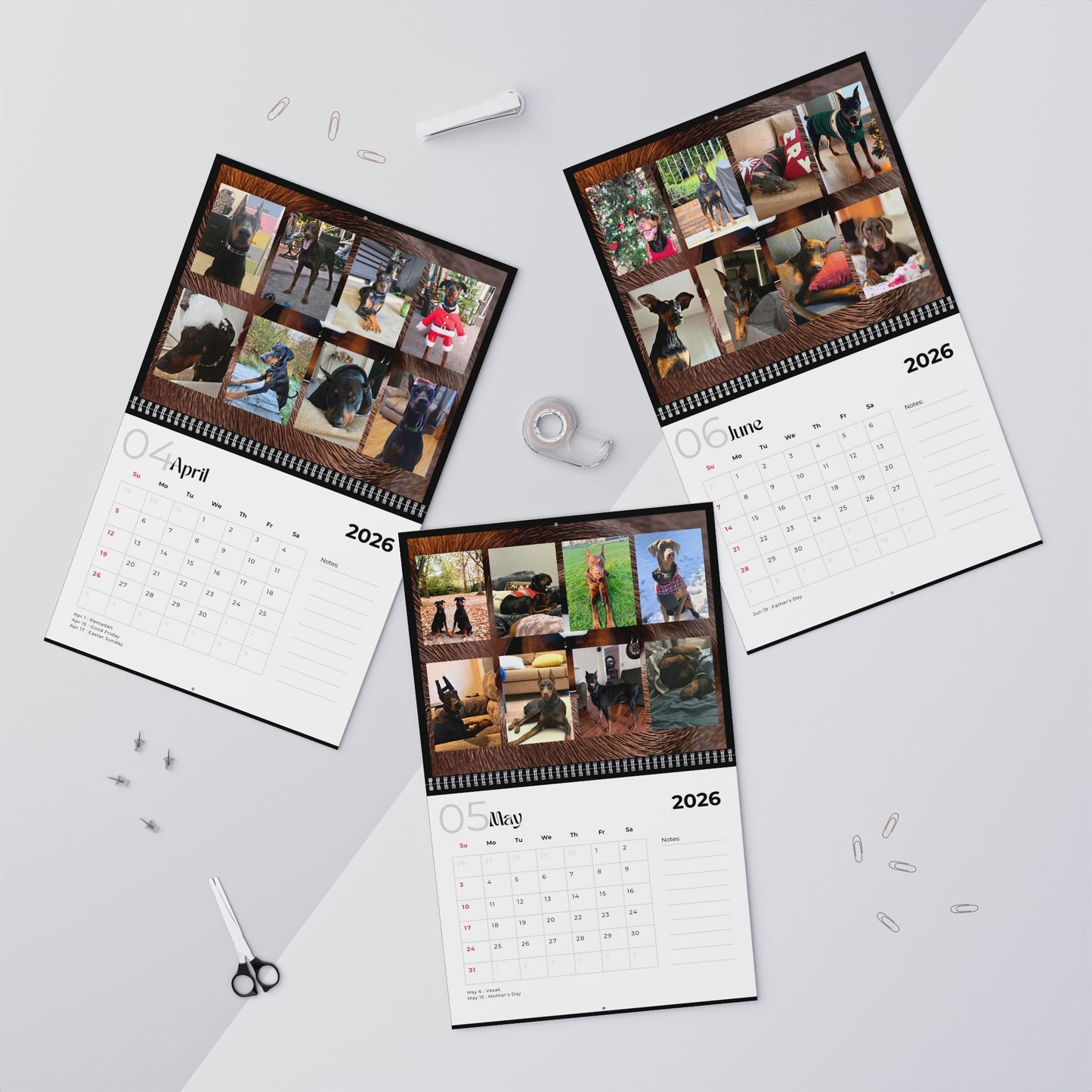 Edition 12 2026 Doberman Calendars