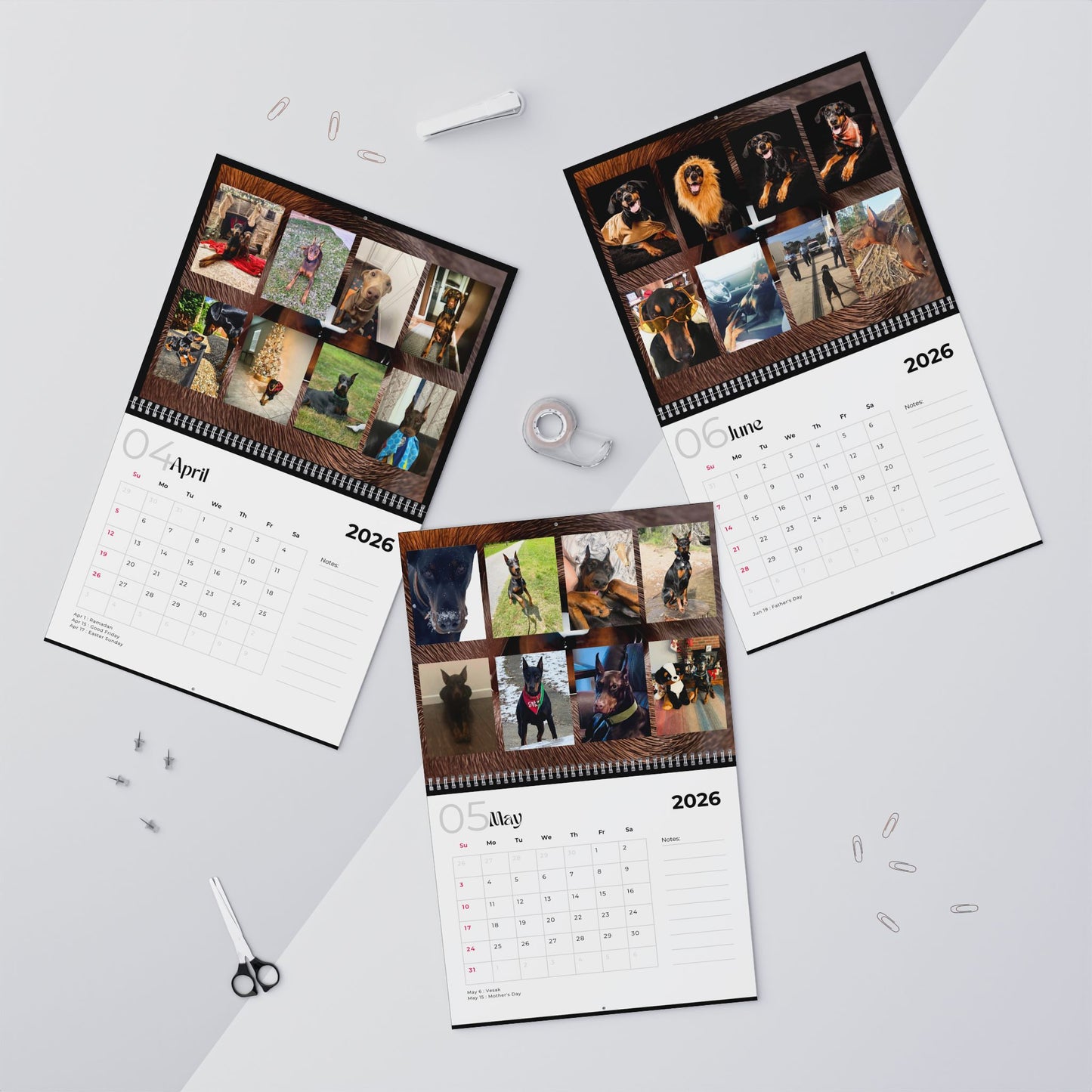 Edition 10 2026 Doberman Calendars