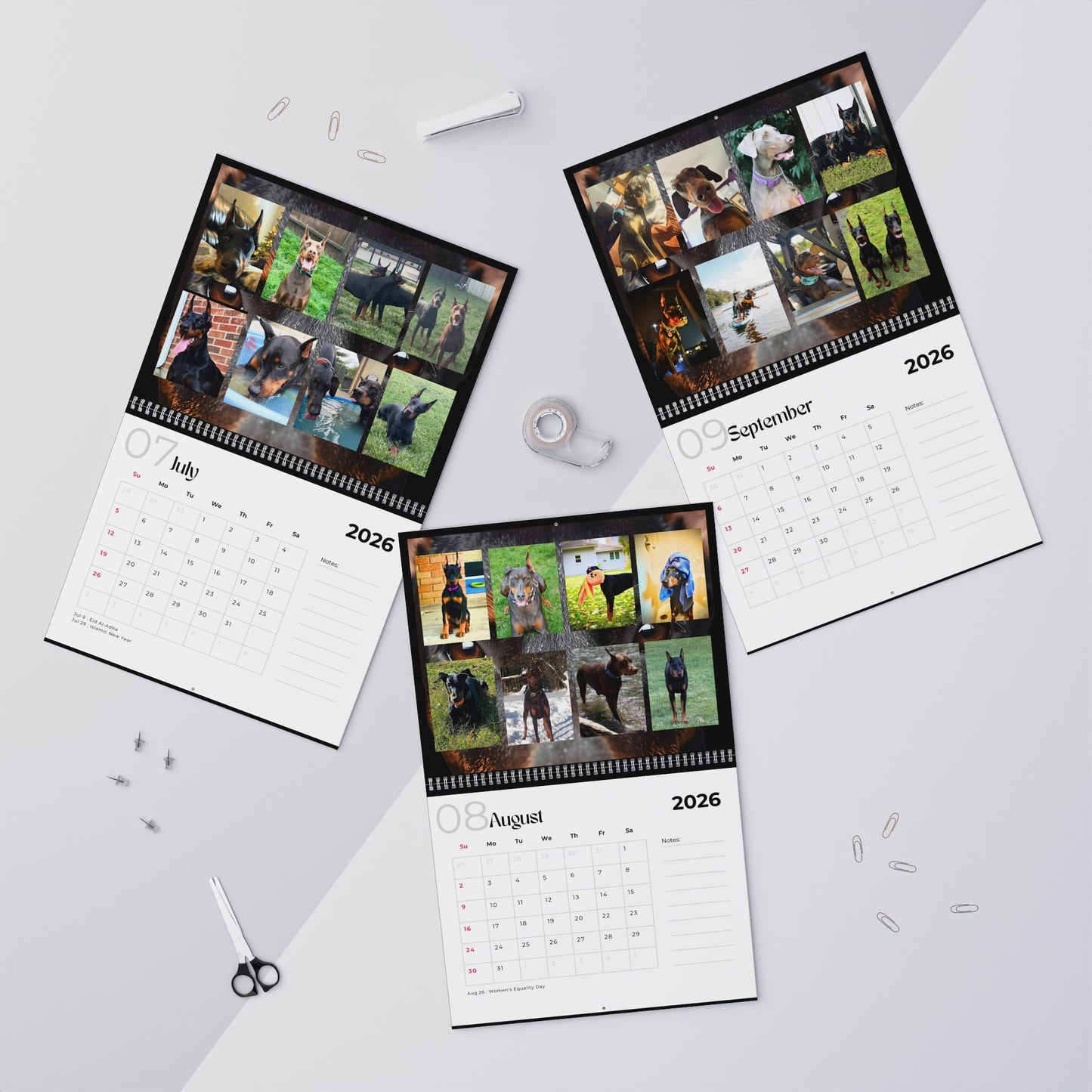 Edition 14 2026 Doberman Calendars