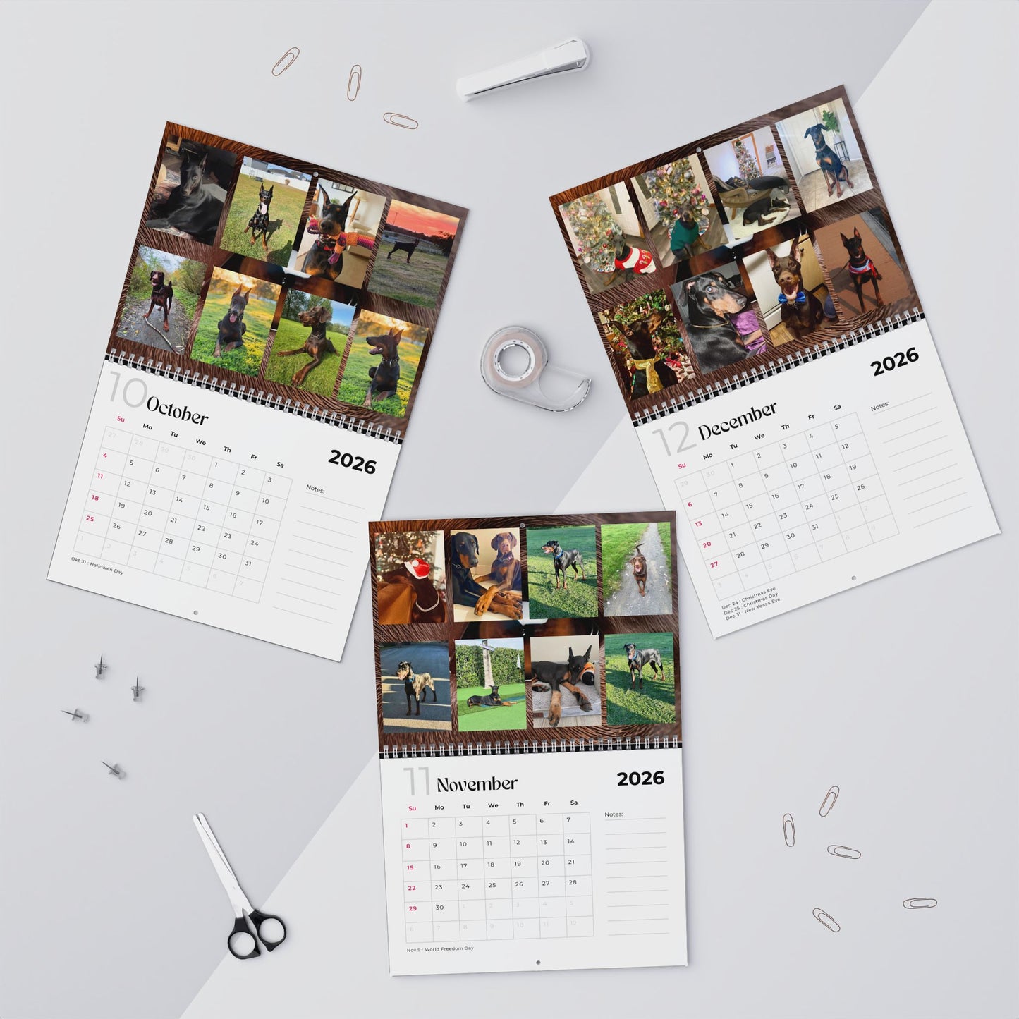 Edition 9 2026 Doberman Calendars