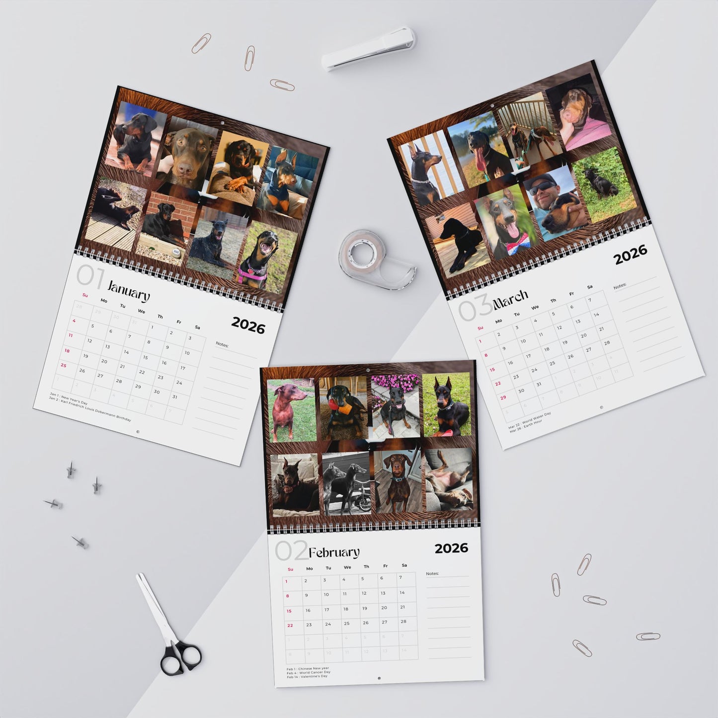 Edition 8 2026 Doberman Calendars