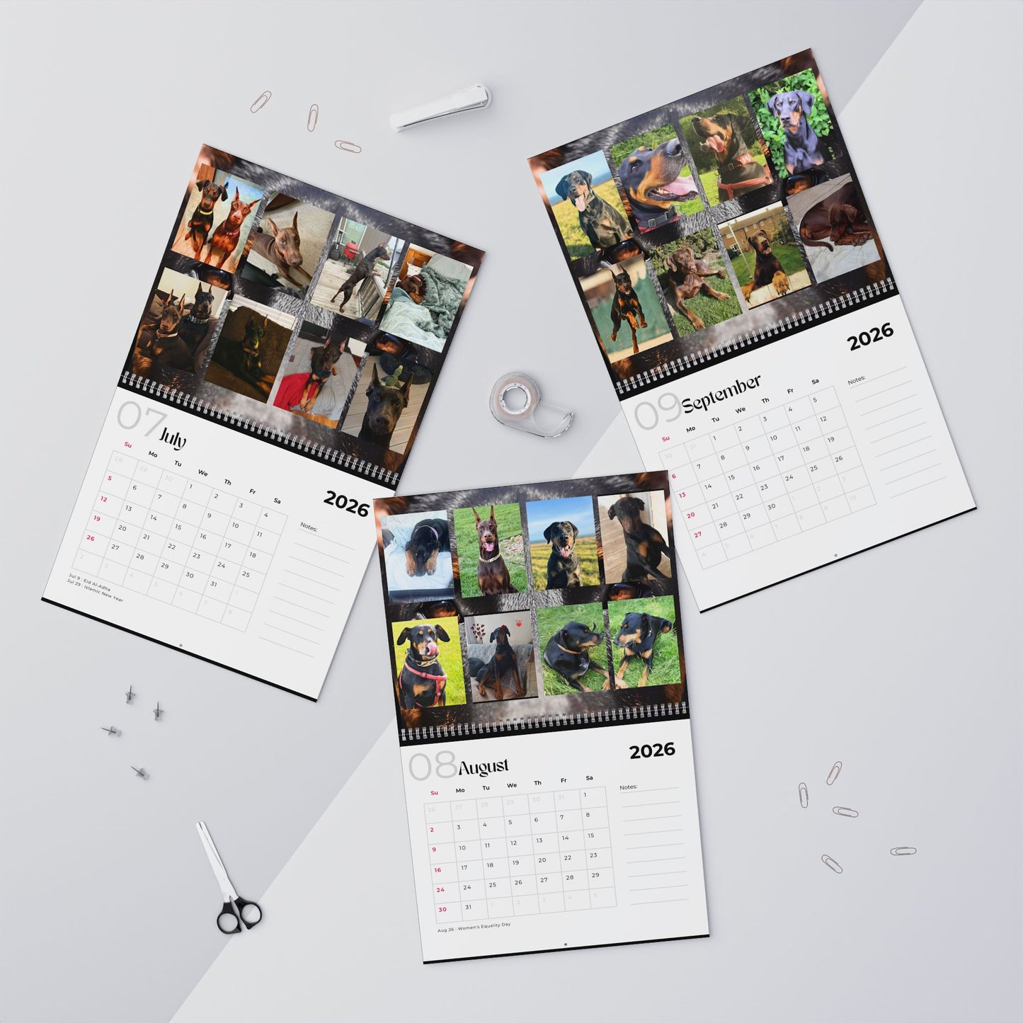 Edition 15 2026 Doberman Calendars