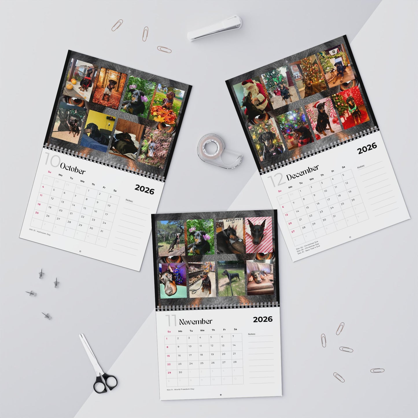 Edition 31 2026 Doberman Calendars