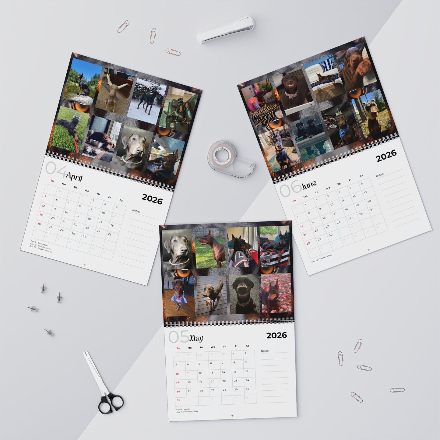Edition 19 2026 Doberman Calendars
