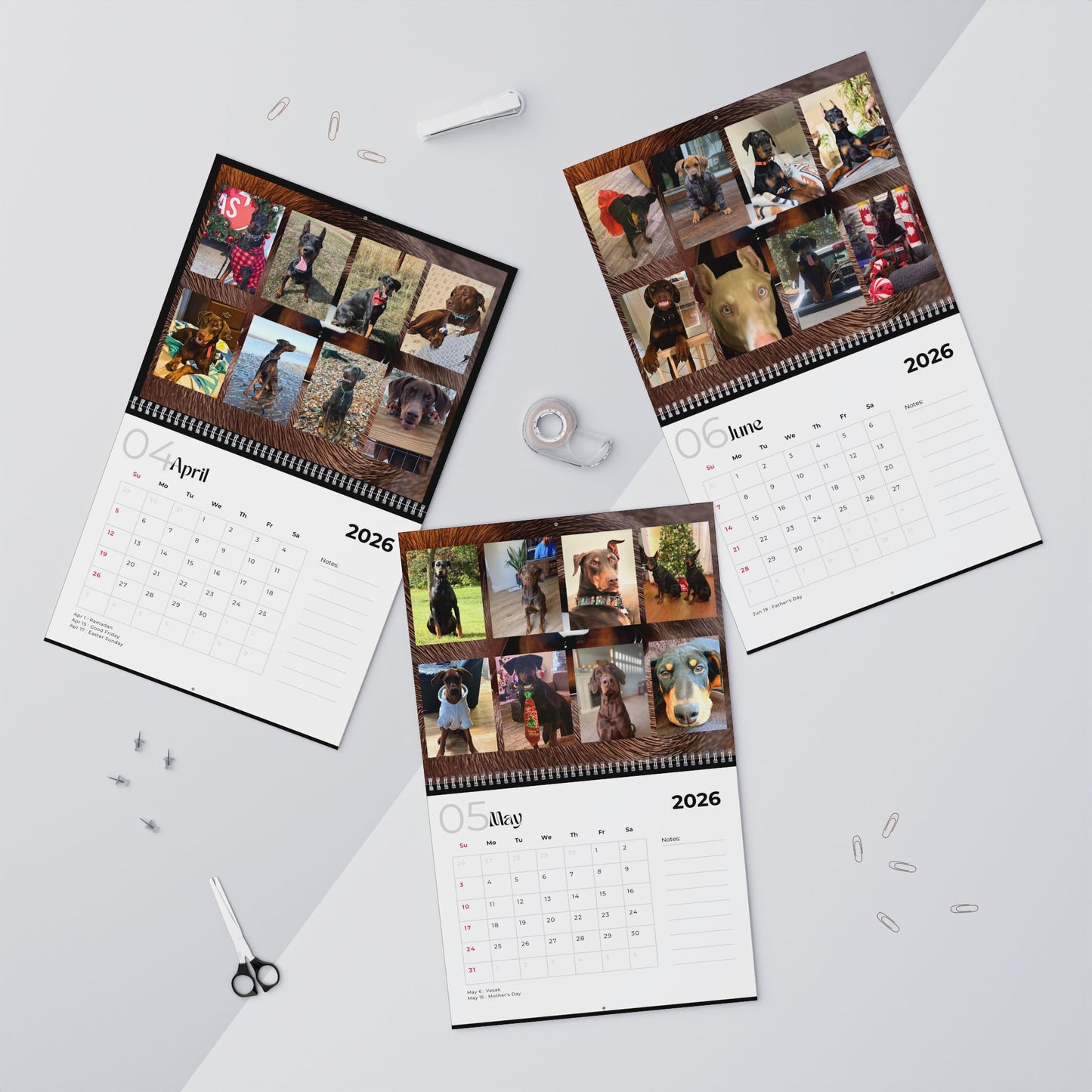 Edition 9 2026 Doberman Calendars