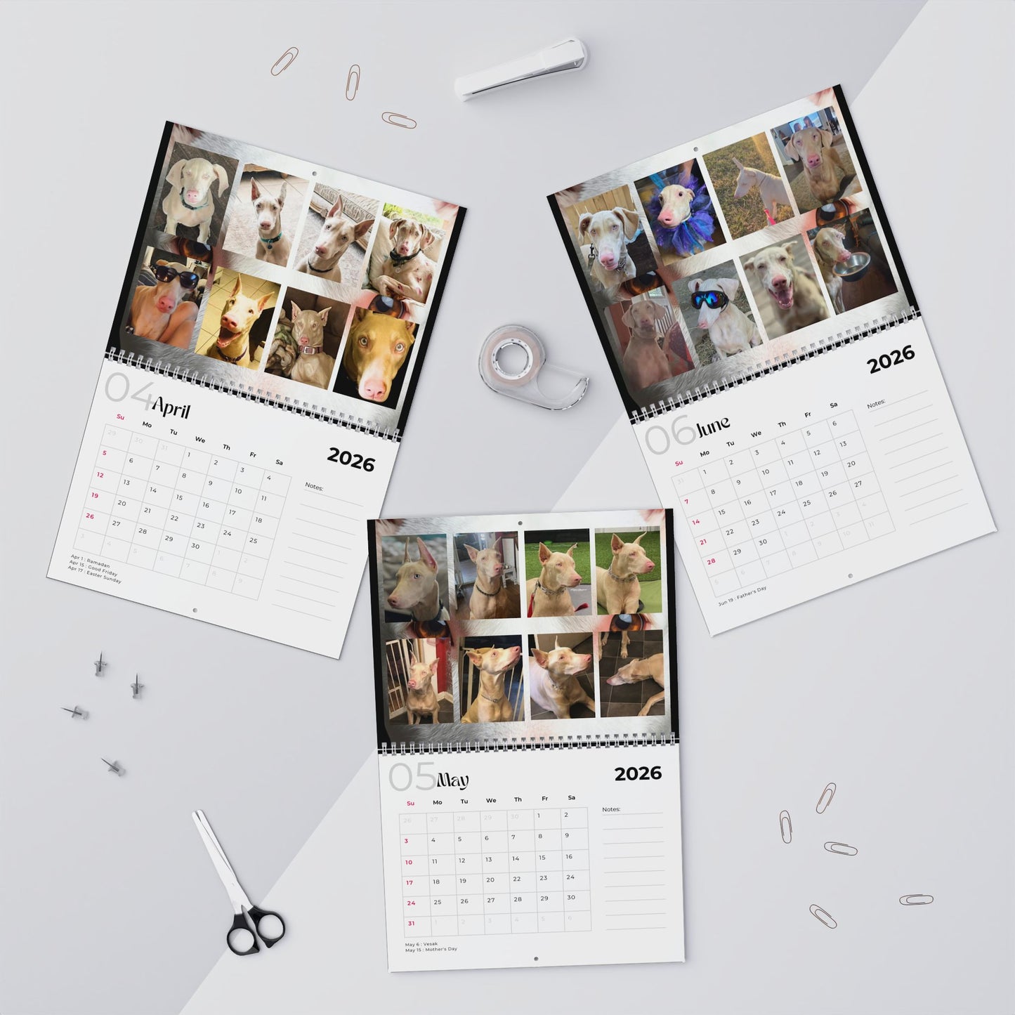Edition 25 2026 Doberman Calendars