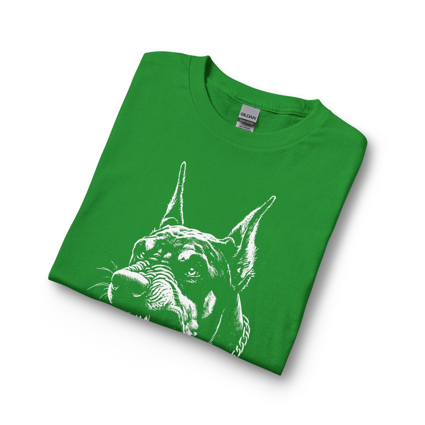 Protect 1  Long Sleeve Tee — Festive Doberman