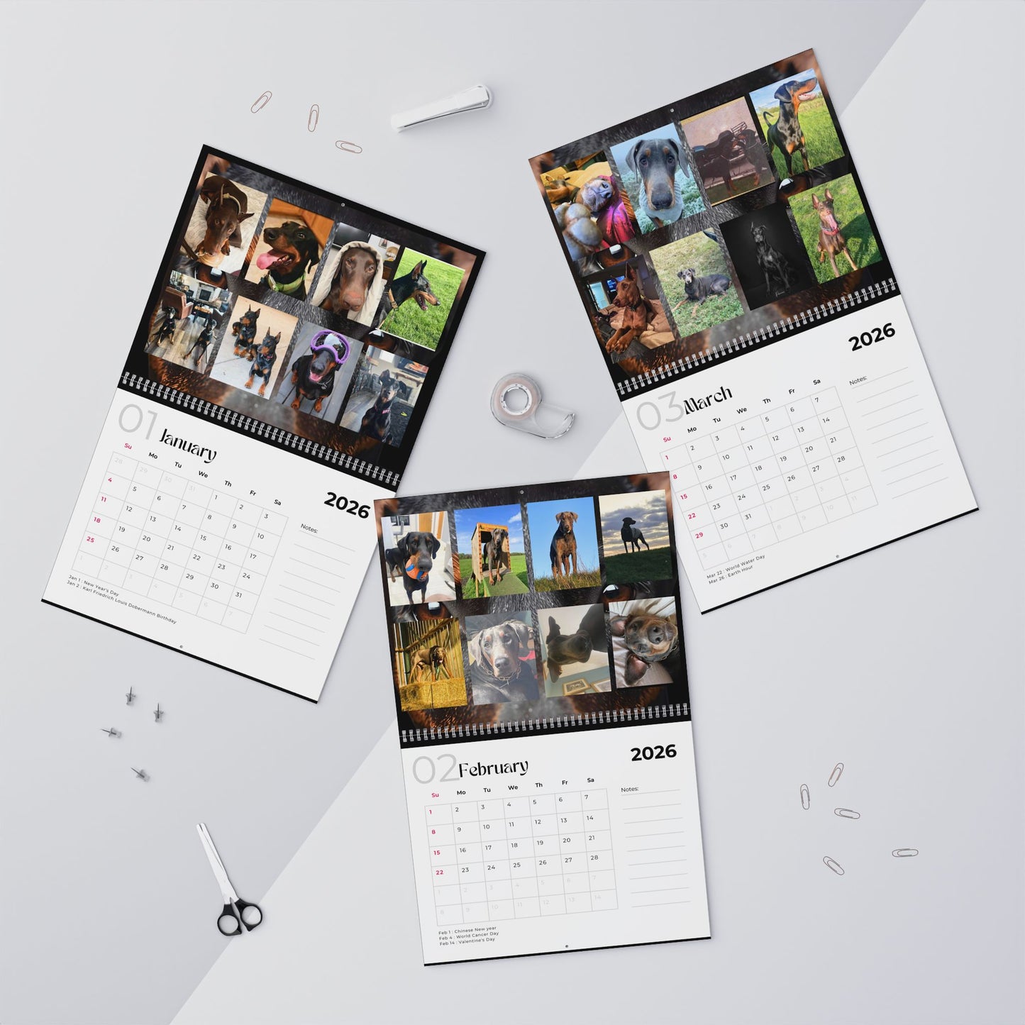 Edition 13 2026 Doberman Calendars