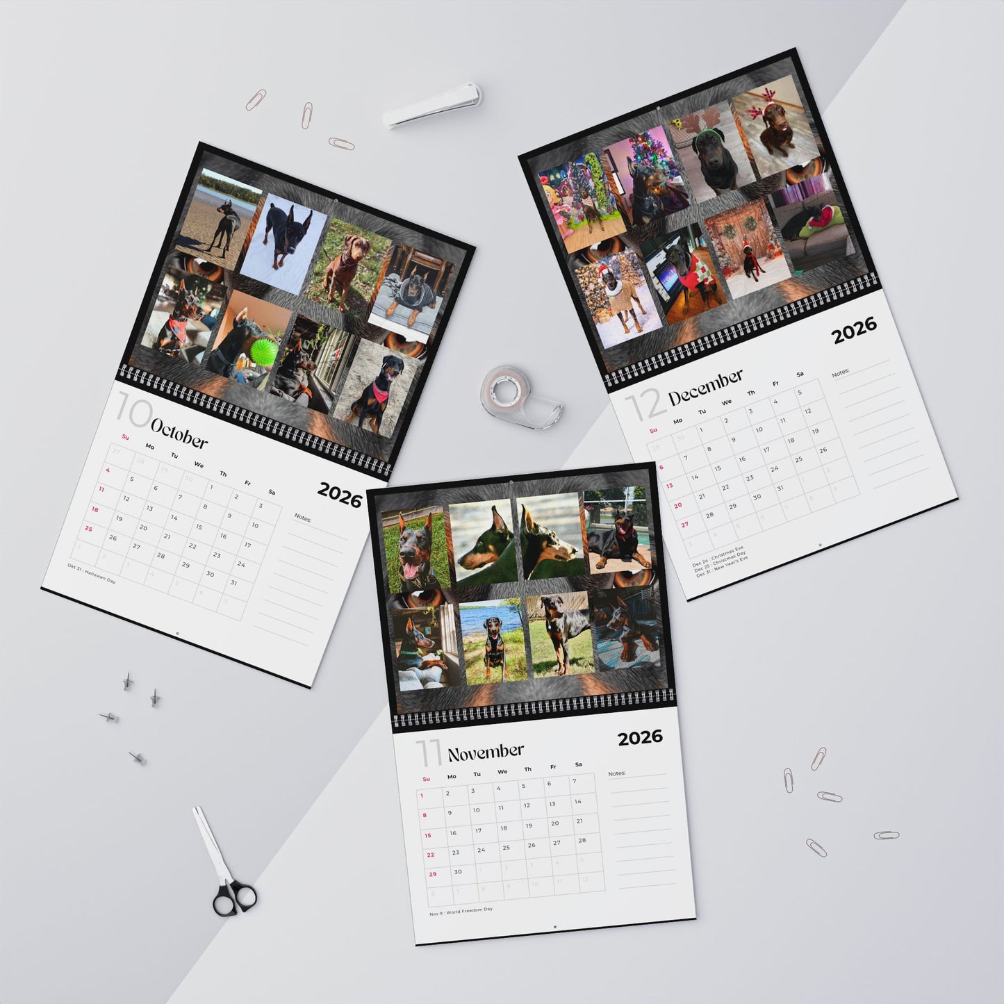 Edition 29 2026 Doberman Calendars