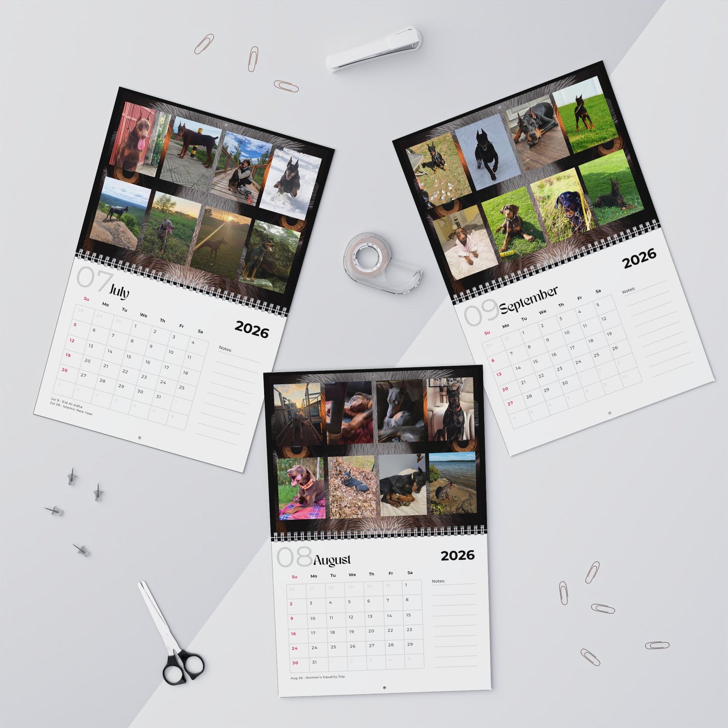 Edition 33 2026 Doberman Calendars