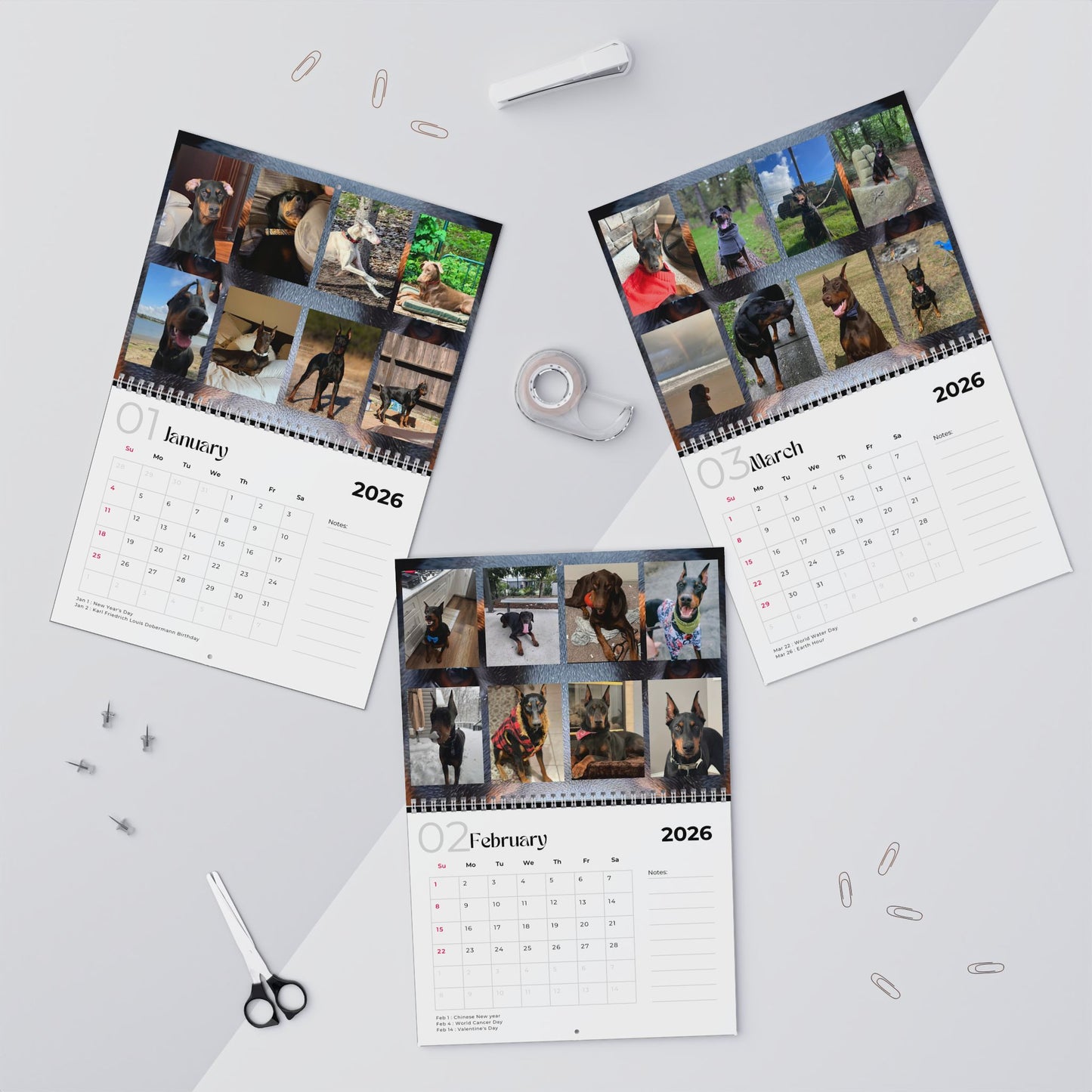 Edition 23 2026 Doberman Calendars
