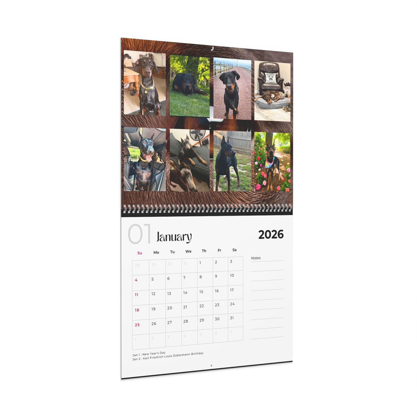 Edition 9 2026 Doberman Calendars