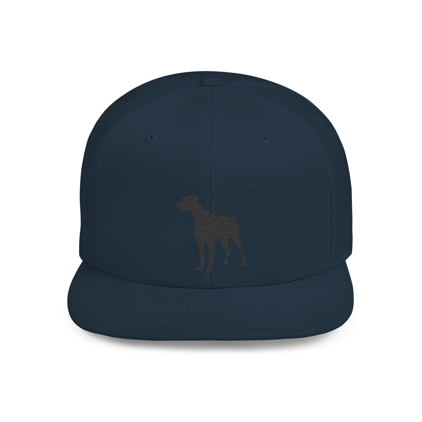 Silhouette 2 Embroidered Flat Bill Snapback