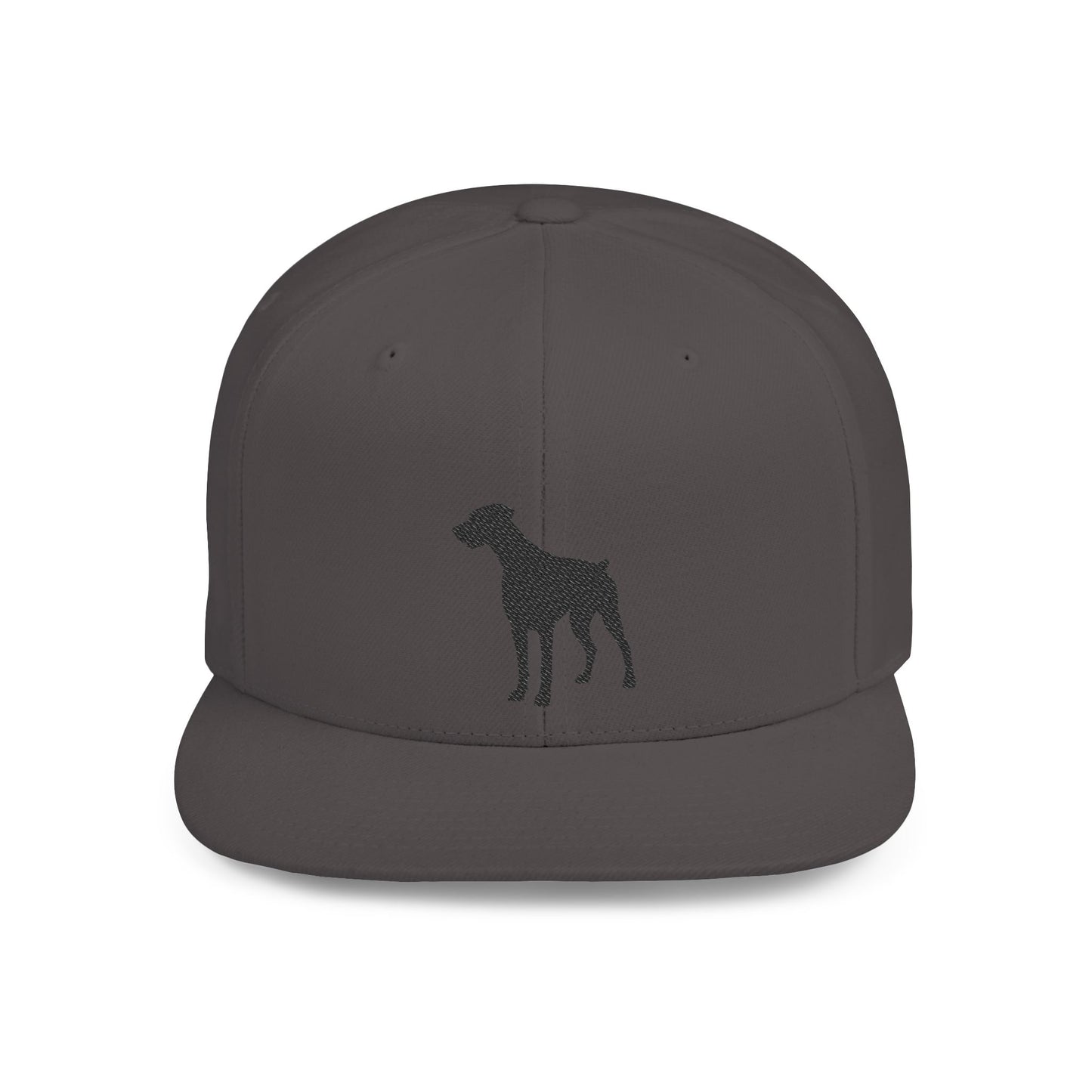Silhouette 2 Embroidered Flat Bill Snapback