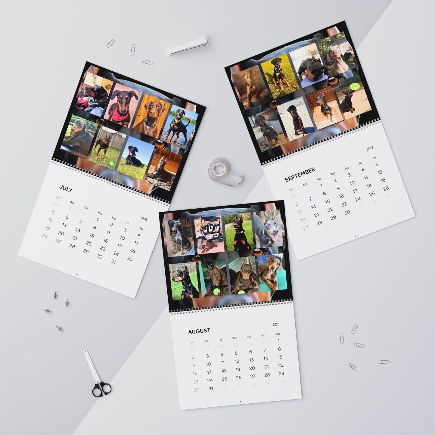 Doberman Edition 1 (International Shipping)Wall Calendar 2026