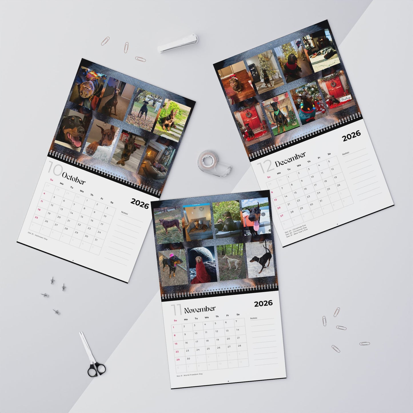 Edition 22 2026 Doberman Calendars