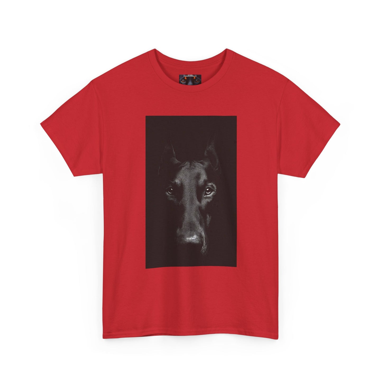 Eye see you Private Lable Unisex Heavy Cotton Tee