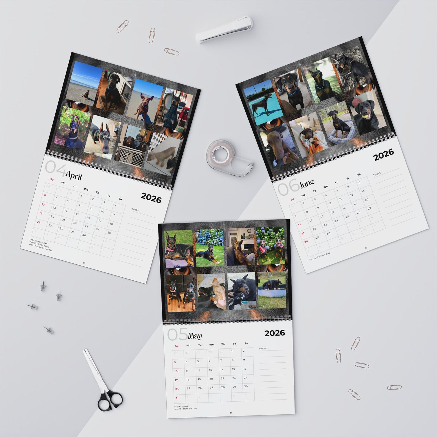 Edition 31 2026 Doberman Calendars