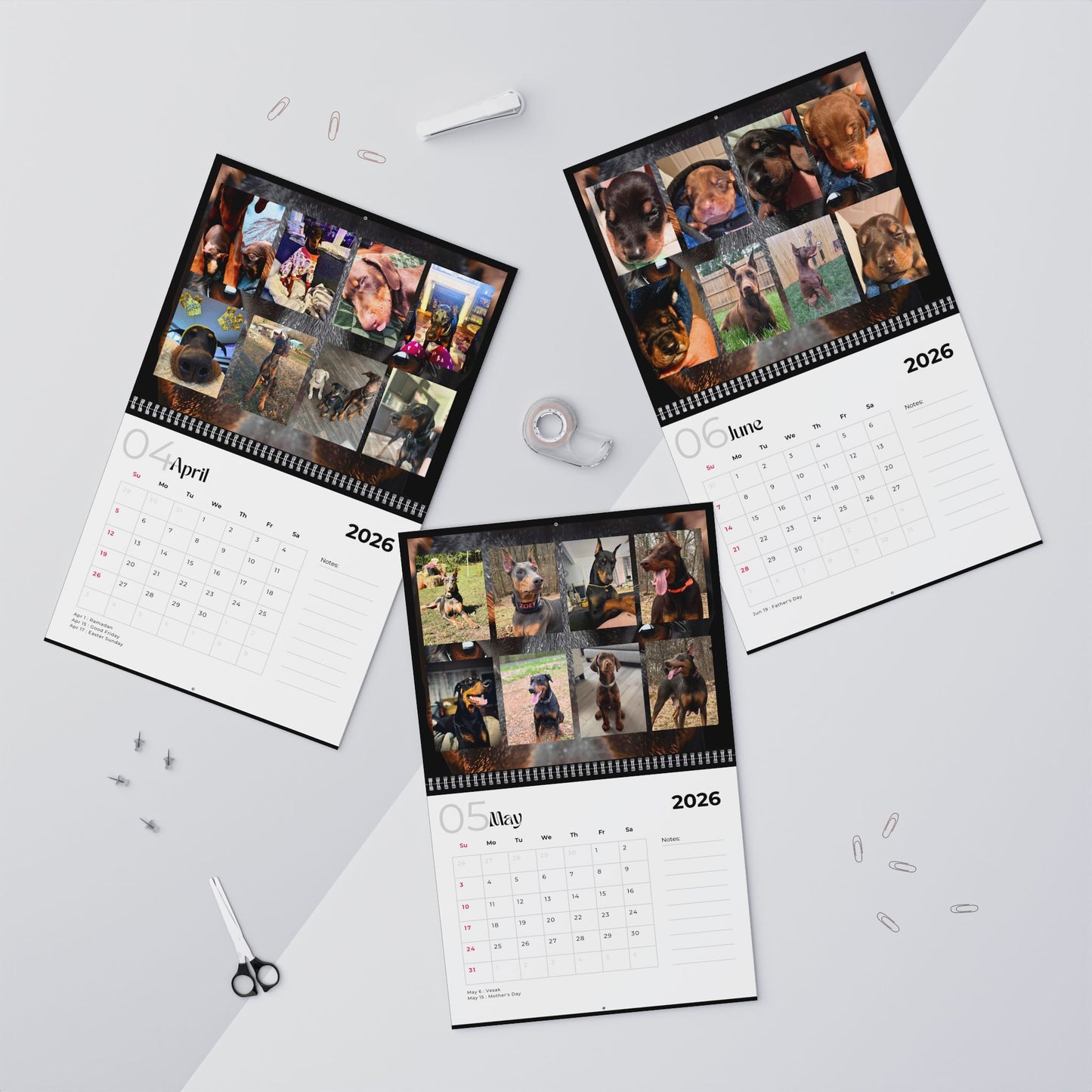 Edition 14 2026 Doberman Calendars