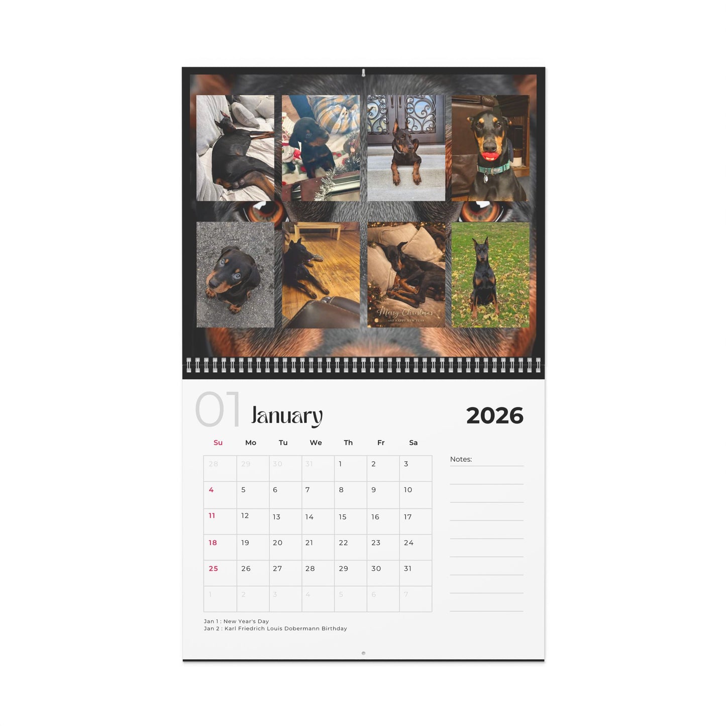 Edition 28 2026 Doberman Calendars