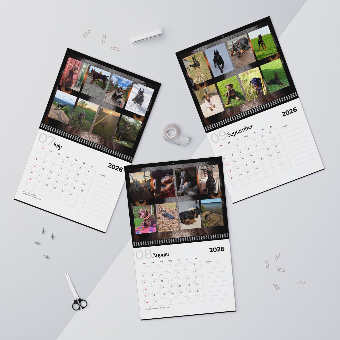 Edition 33 2026 Doberman Calendars