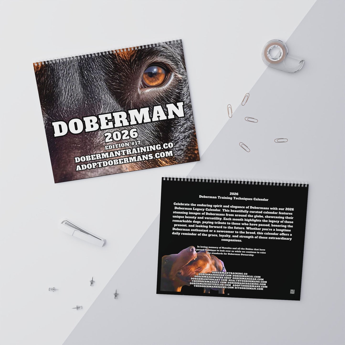 Edition 17 2026 Doberman Calendars