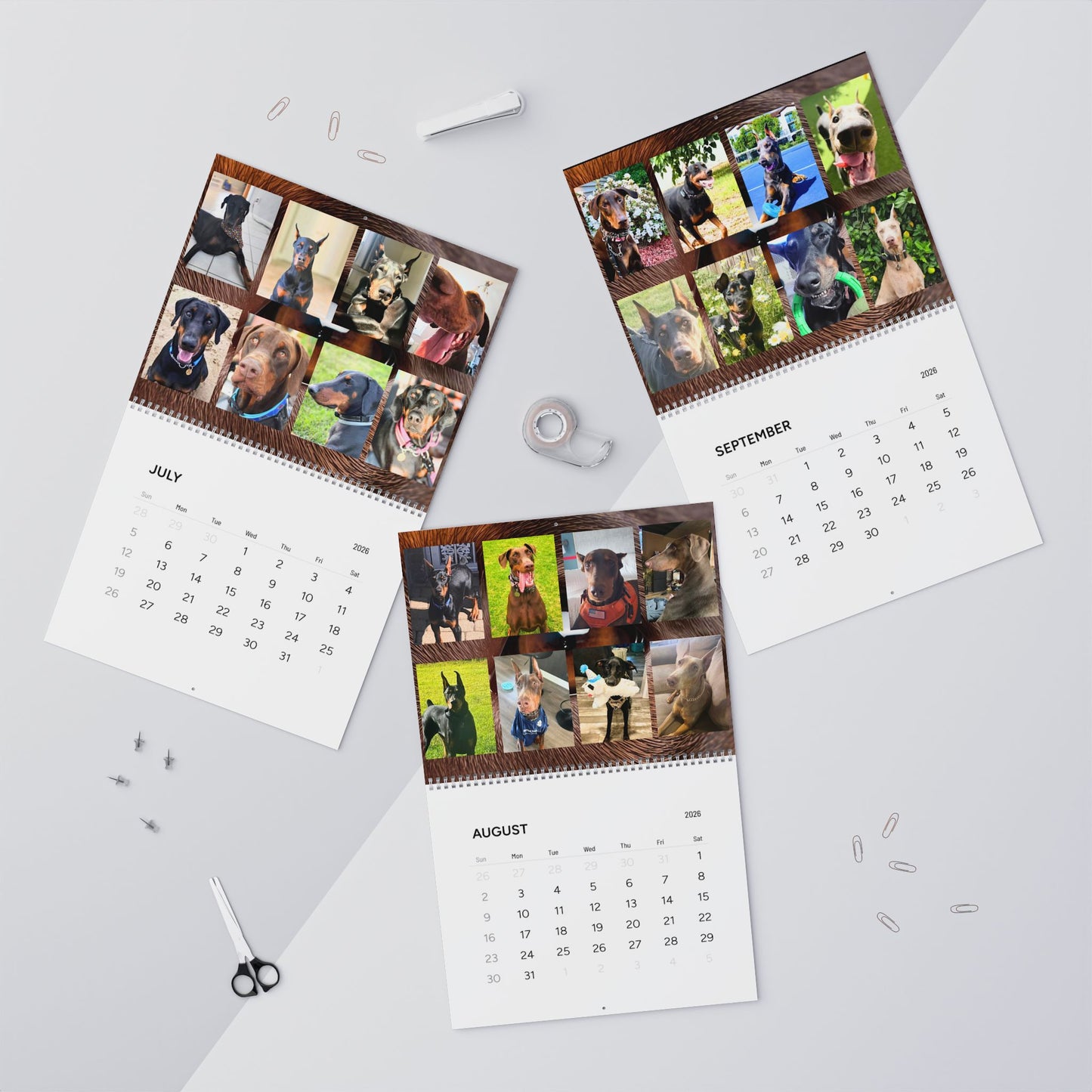Doberman Edition 7  Wall Calendar 2026