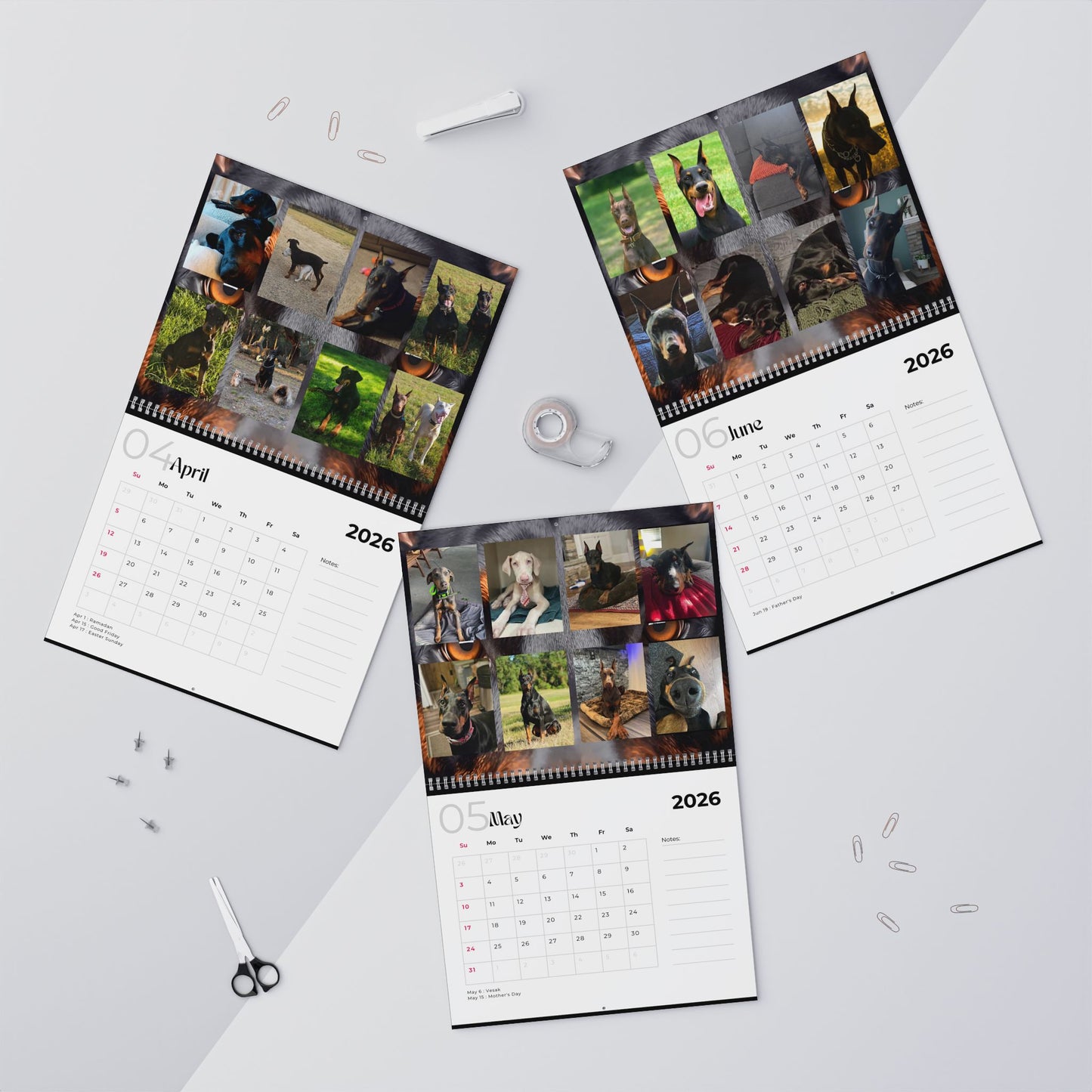 Edition 18 2026 Doberman Calendars