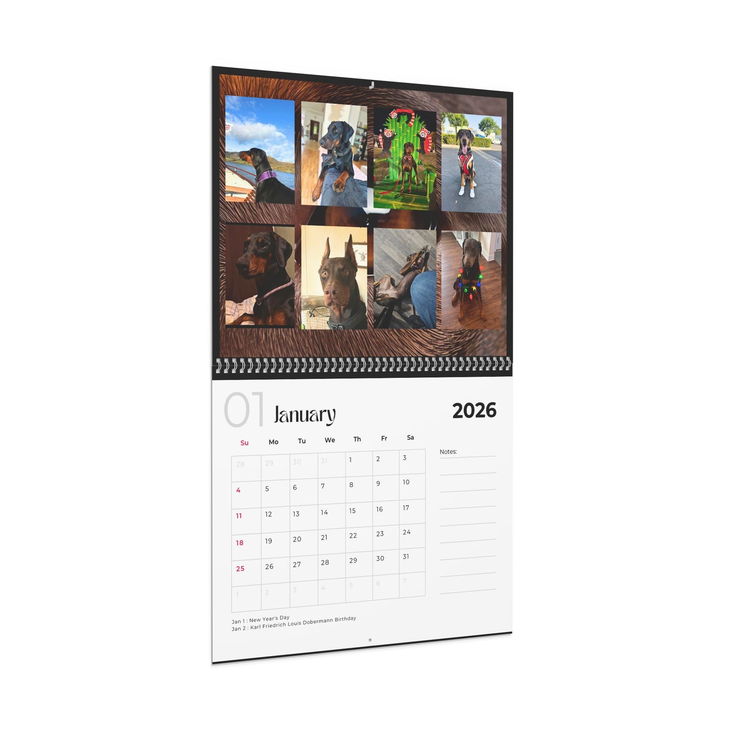 Edition 10 2026 Doberman Calendars