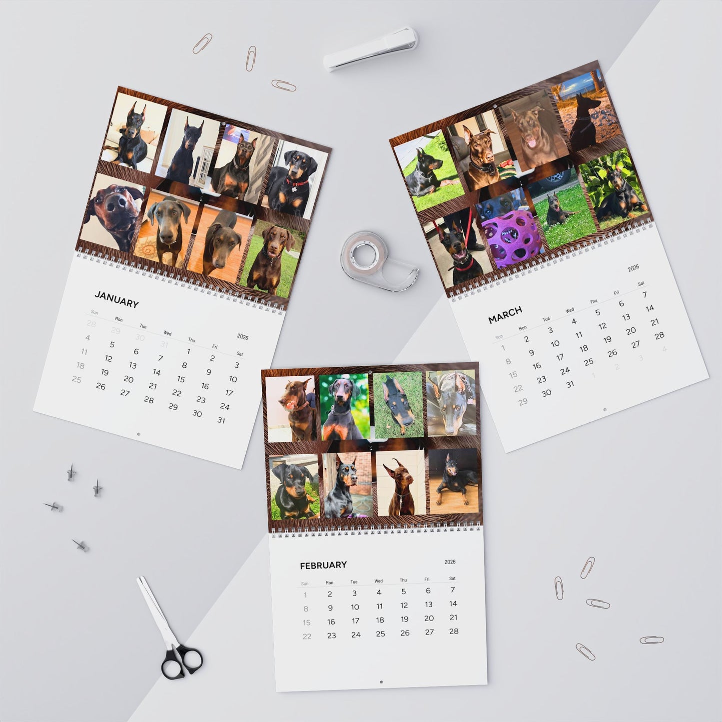 Doberman Edition 7  Wall Calendar 2026