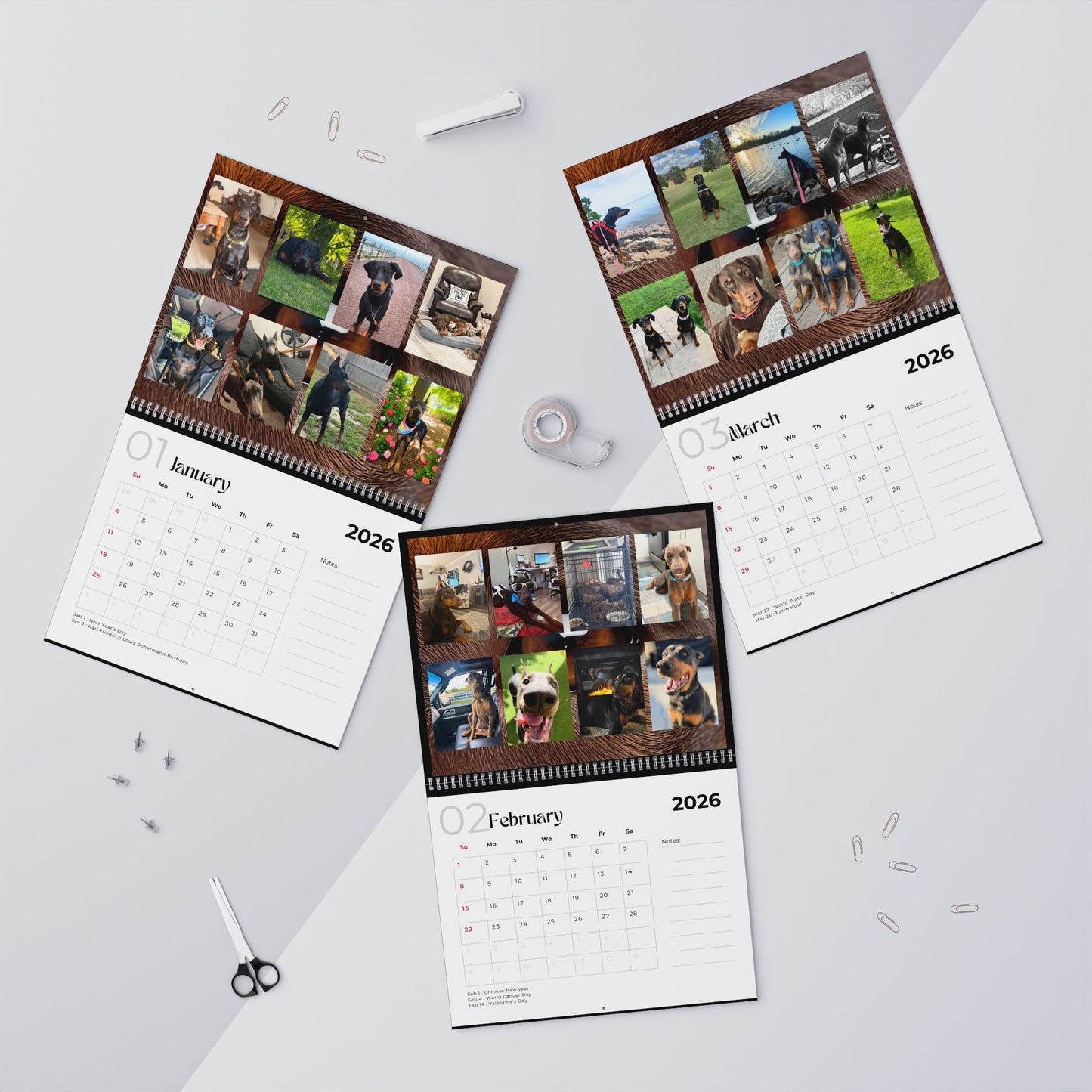 Edition 9 2026 Doberman Calendars