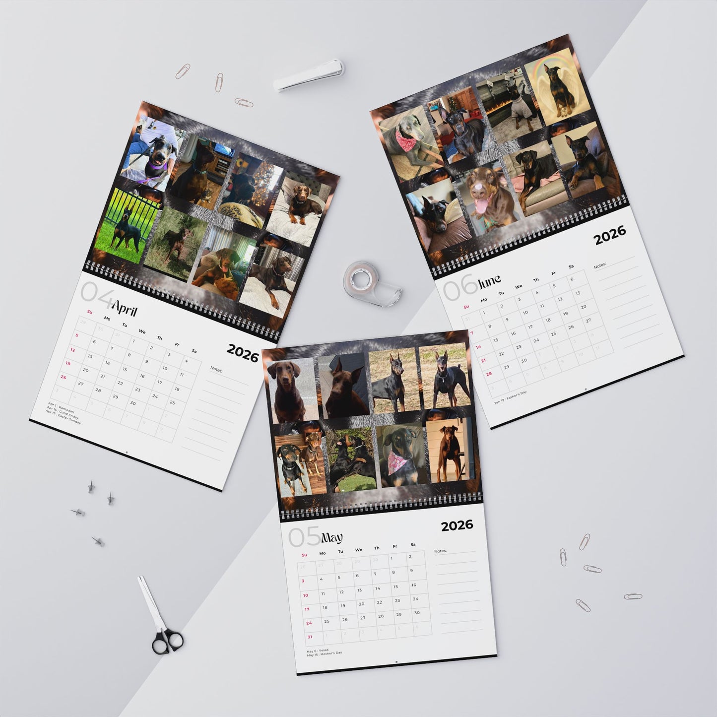 Edition 17 2026 Doberman Calendars