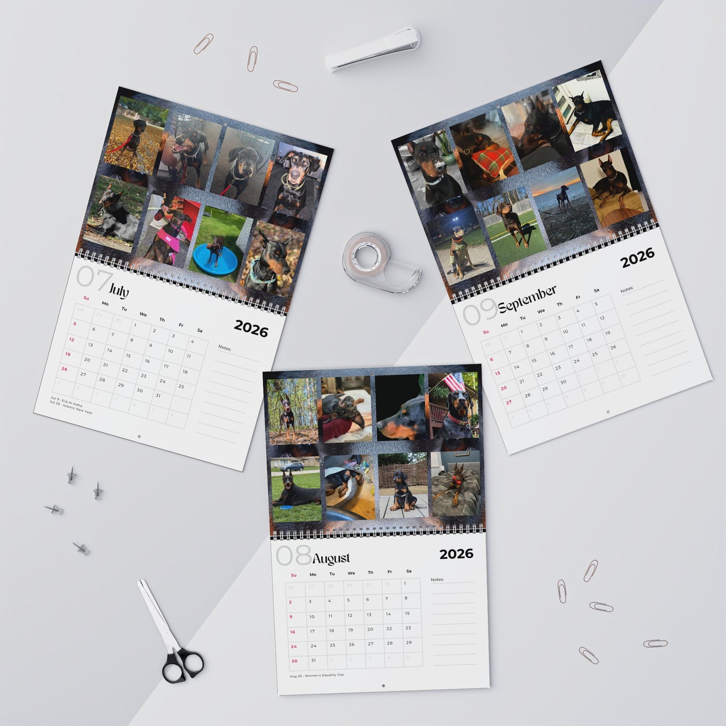 Edition 21 2026 Doberman Calendars