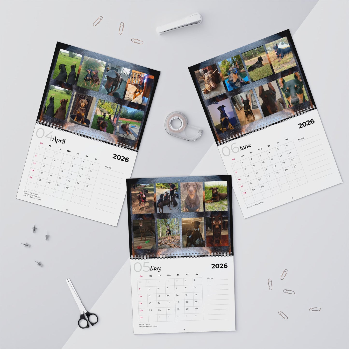 Edition 20 2026 Doberman Calendars