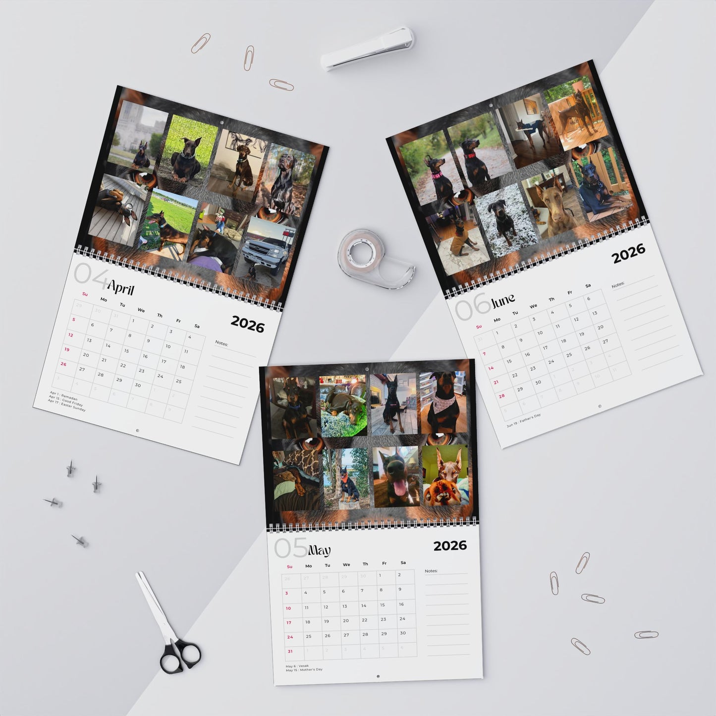 Edition 28 2026 Doberman Calendars