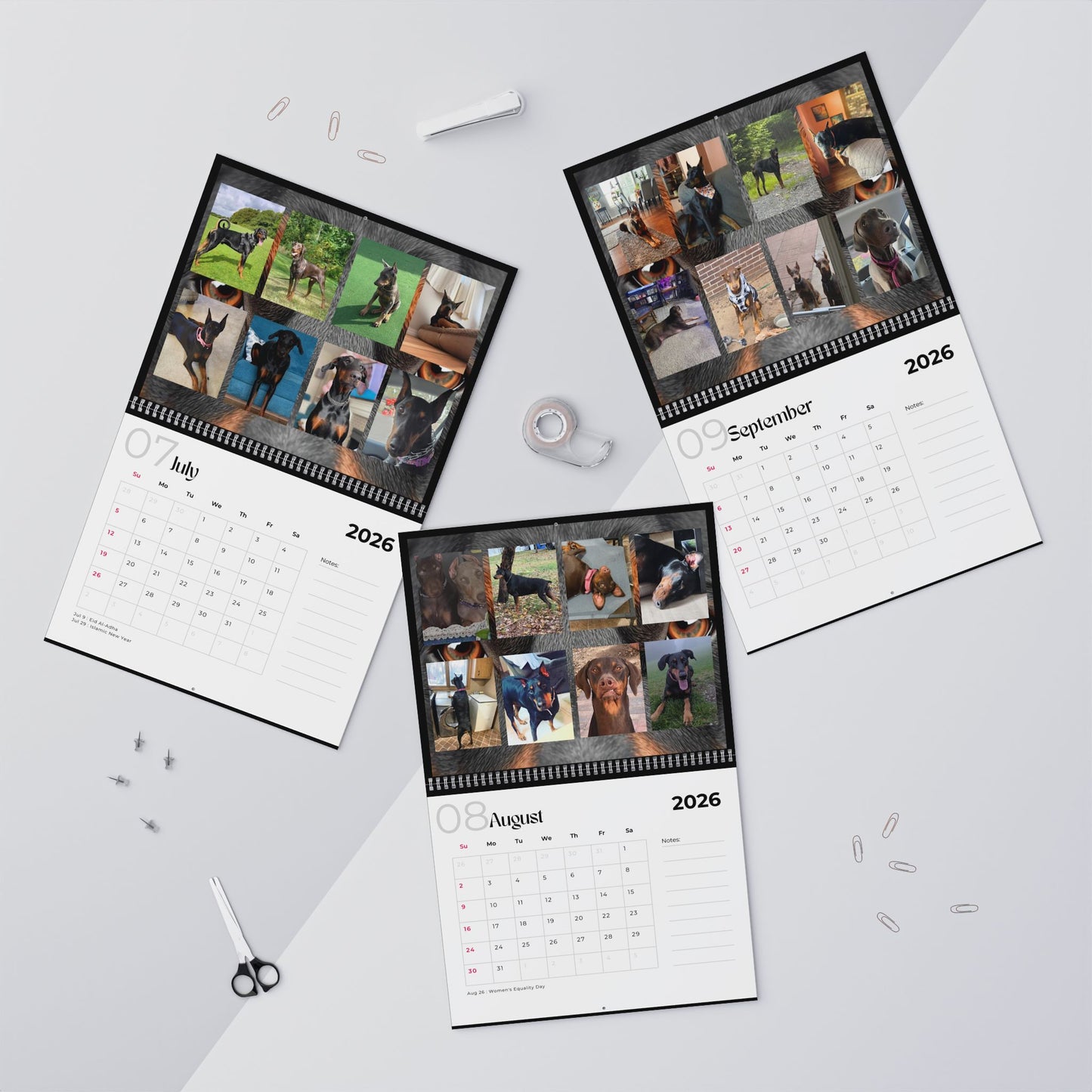 Edition 29 2026 Doberman Calendars