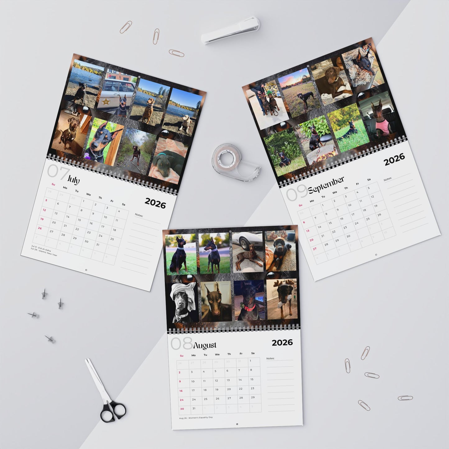 Edition 13 2026 Doberman Calendars
