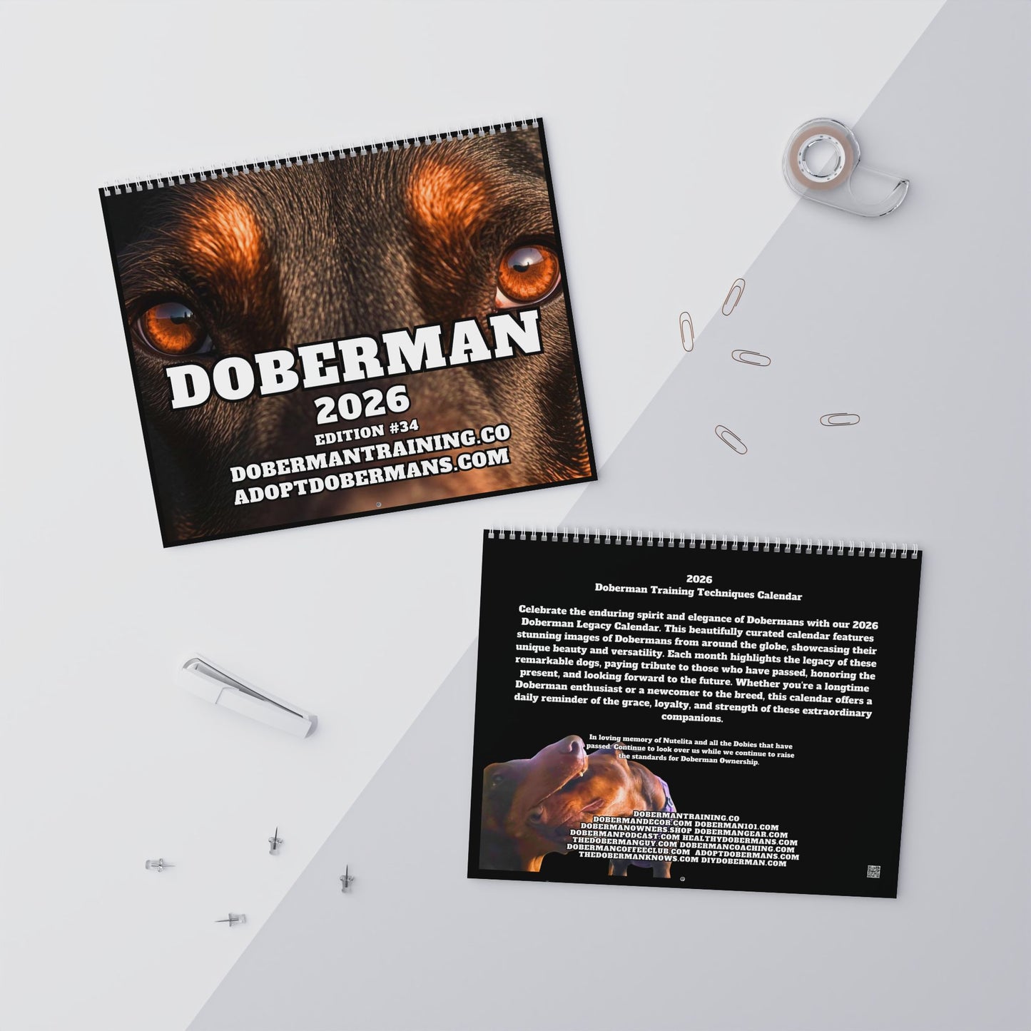 Edition 34 2026 Doberman Calendars