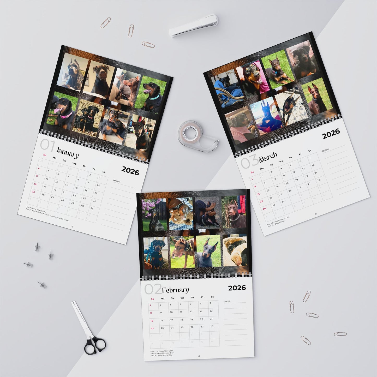 Edition 5 2026 Doberman Calendars