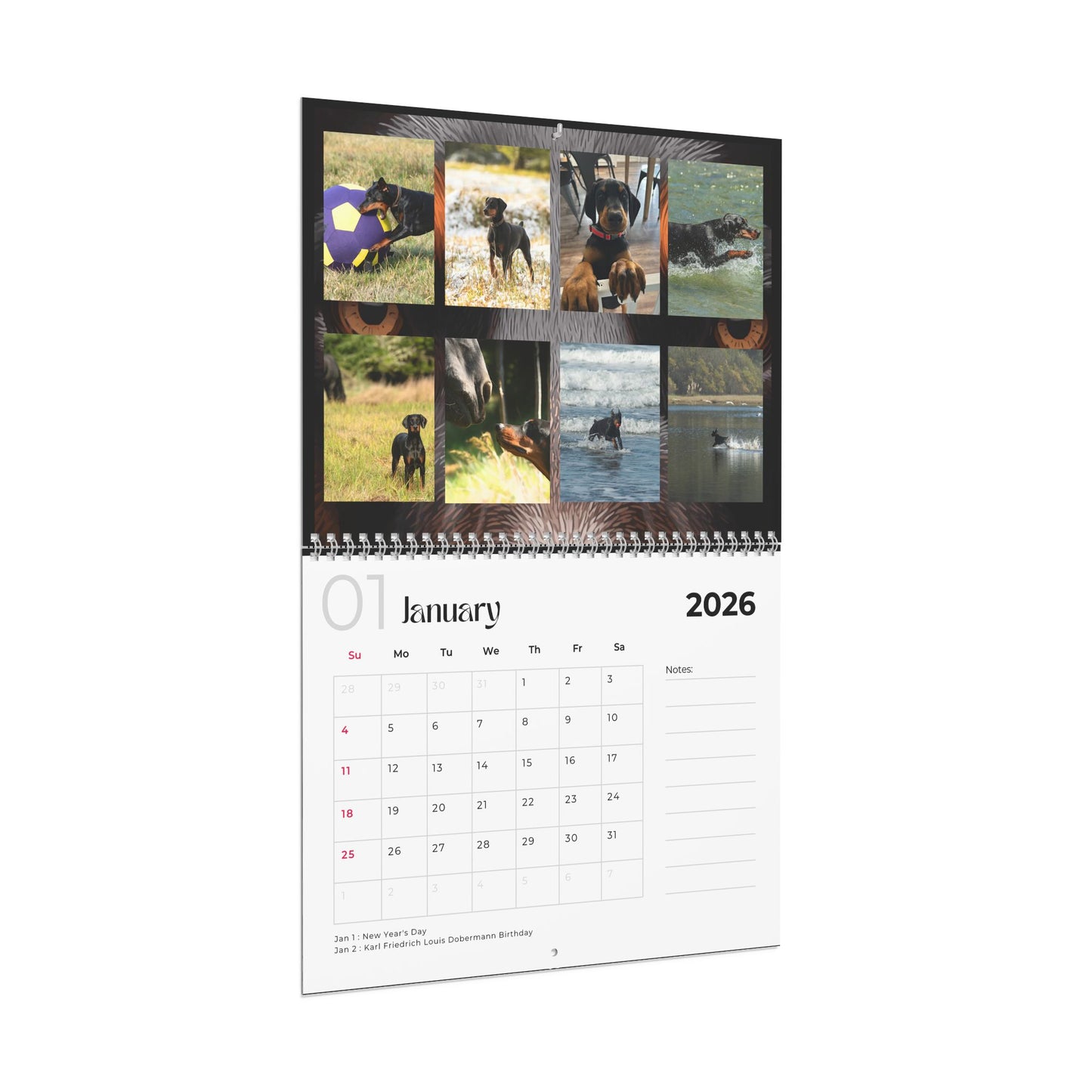 Edition 35 2026 Doberman Calendars