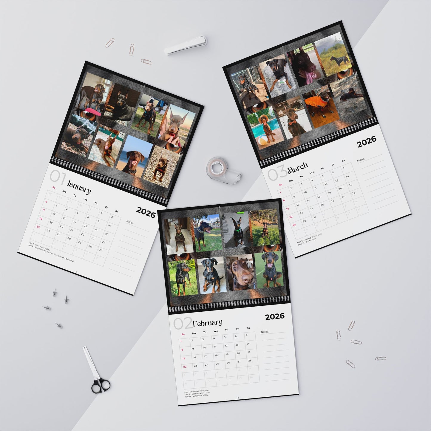 Edition 32 2026 Doberman Calendars