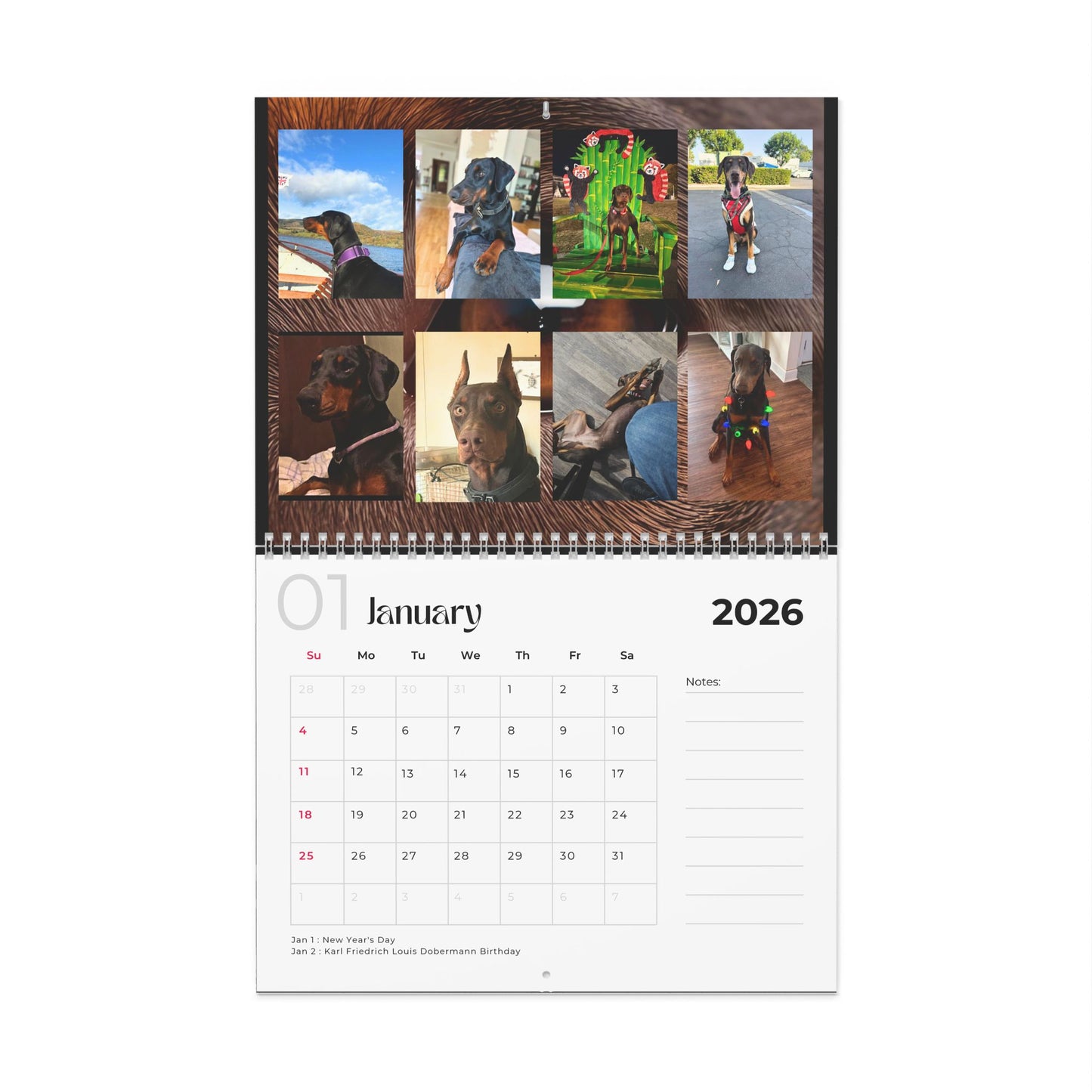 Edition 10 2026 Doberman Calendars