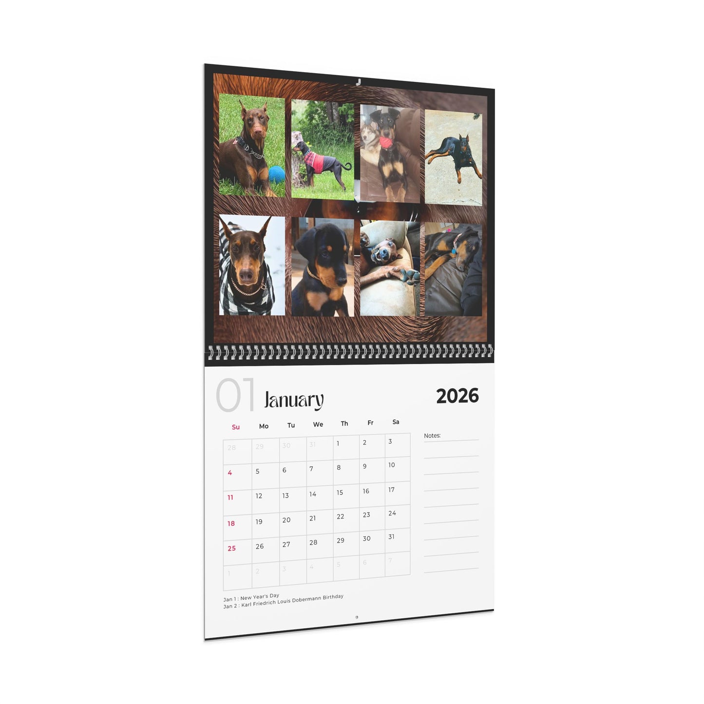 Edition 6 2026 Doberman Calendars