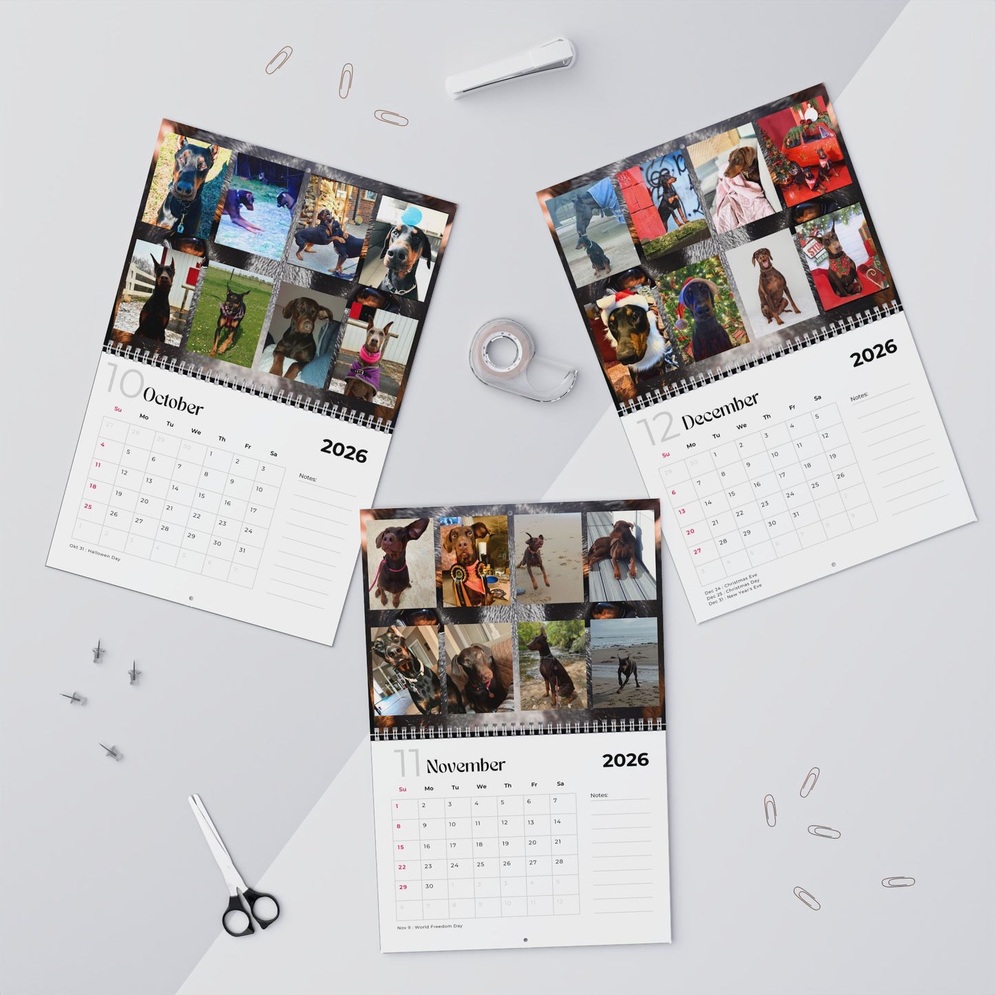 Edition 15 2026 Doberman Calendars