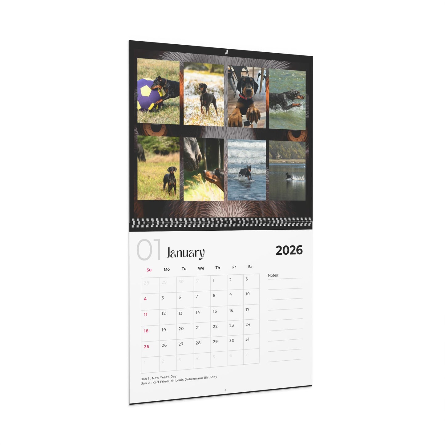 Edition 35 2026 Doberman Calendars