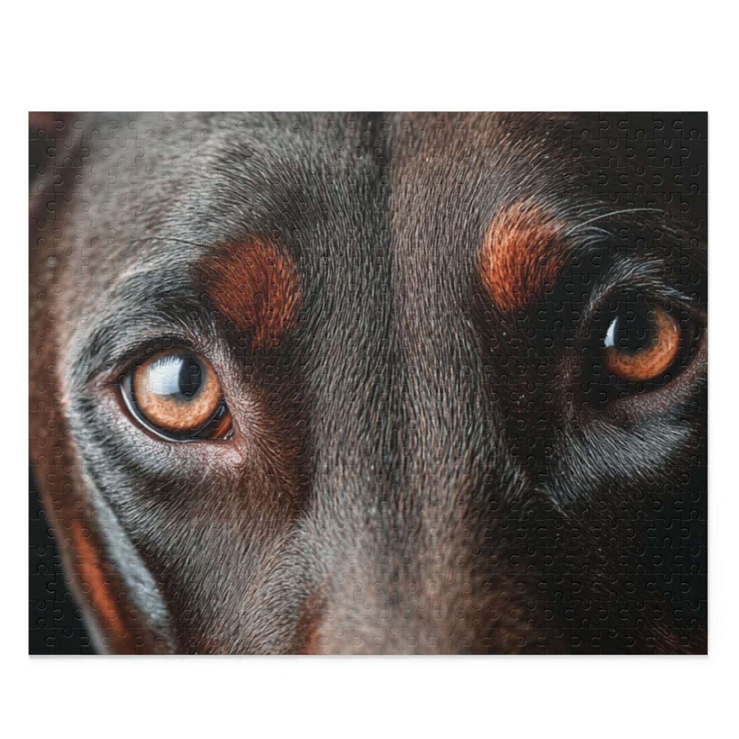 Human Mental Stimulation 5 Puzzle Black Lab Portrait Puzzle 1 Jigsaw (120/252/500 Pieces)